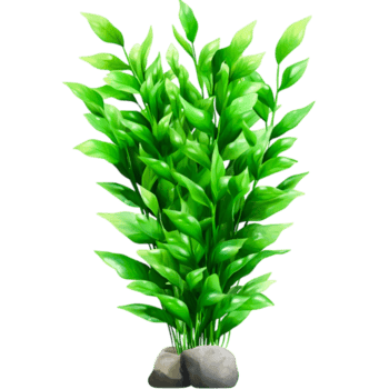 exuberante verde aquático plantar com vibrante folhas dentro uma natural configuração para aquários png