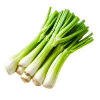 Fresh Green Onions Bunch for Culinary Use png