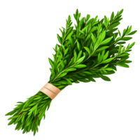 Fresh Green Herbs Bunch with Vibrant Leaves for Culinary and Decorative Use png