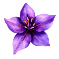 Vibrant Purple Flower with Delicate Petals and Striking Yellow Stamen png