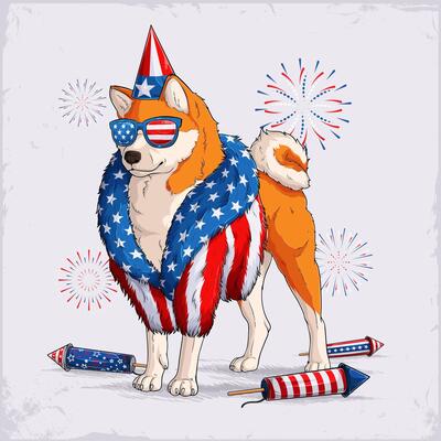 Japanese dog breed Shiba Inu in 4th of July disguise fur coat, sunglasses, party hat, with firecrackers, fireworks in American flag pattern