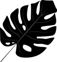 Tropical monstera leaves. Jungle plants. Symbol of the tropics. Exotic plants of large shapes and cuts. vector