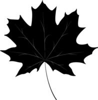 Maple leaf. Symbol of autumn, nature and harmony with the environment. Symbol of renewal. vector