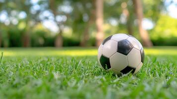 Soccer ball resting on bright green artificial turf, and athletic simplicity embodying sporting anticipation photo