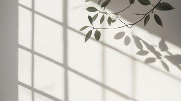 Sunlight is casting shadows of leaves on wall, white a creating a peaceful and minimalist aesthetic background photo