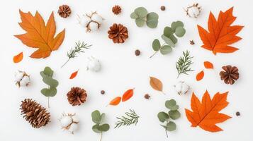 Eucalyptus and cotton flowers background, a beautiful autumnal pattern on a white creating perfect for nature inspired designs photo