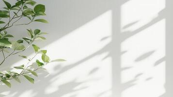 Plant leaves shadow shadows casting a white wall, creating an aesthetically pleasing interplay of light and on copy space abstract background photo