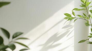 Blurred Plant leaves casting shadows on a white wall, creating an aesthetically pleasing interplay of light and shadow copy space abstract background photo