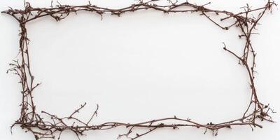 Decorative natural frame made of twigs placed on a plain background for artistic purposes photo
