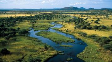 Stunning aerial view of a winding river through a lush landscape in Africa during the warm daylight hours photo