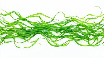 Fresh edible seaweed strands arranged on a white background showcasing their vibrant green color photo