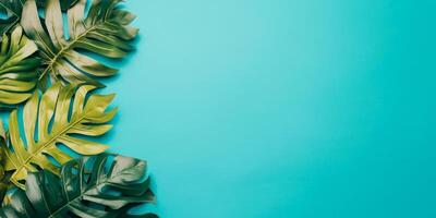 Green tropical leaves arranged on a bright aqua background creating a fresh and vibrant atmosphere for summer decor photo