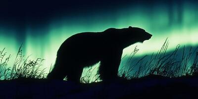 Bear silhouette against vibrant northern lights in a tranquil wilderness setting at dusk photo