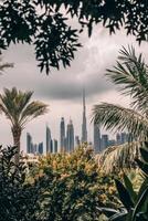 View of modern skyline in Dubai framed by lush palm trees on a cloudy day photo