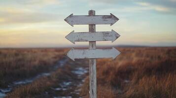 Directional signpost in a vast meadow during sunset, guiding travelers on their journey to various destinations photo