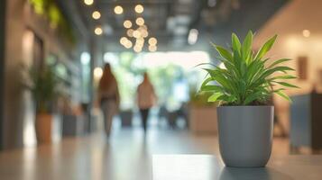Lively indoor space featuring a potted plant with blurred figures in the background and warm lighting photo