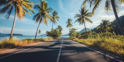 Scenic coastal road lined with palm trees and stunning ocean views on a sunny day photo