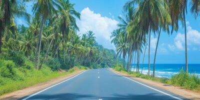 Coastal road lined with palm trees and vibrant greenery under a sunny blue sky photo