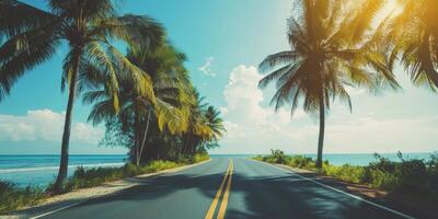 Sunny coastal road lined with palm trees in a serene tropical setting during a clear day photo