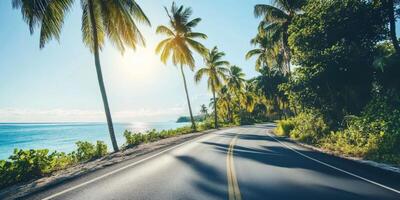 Scenic coastal road lined with palm trees under a bright sun near the ocean photo