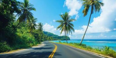Scenic coastal road lined with palm trees under a bright blue sky photo