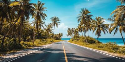 Scenic coastal road lined with palm trees and lush greenery under a clear blue sky photo