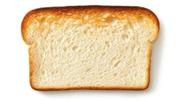Freshly toasted bread slice showcasing a golden crust and soft interior ideal for breakfast or snacks photo