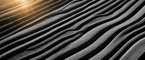 An abstract photo of a field with sun rays