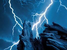 Lightning Strikes Behind a Dead Tree. An Ominous Display of Natures Power. photo