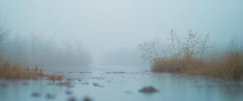 A foggy scene with water and grass photo