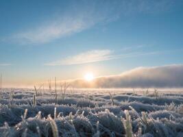 Frosty grass and fog in the morning photo
