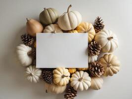 Pumpkins and pine cones on white background with blank card photo
