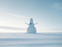 A snowman standing in the middle of a field photo
