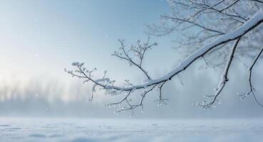 Winter landscape with snow covered branches and trees photo