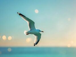 A seagull flying over the ocean at sunset photo