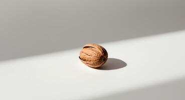 Walnut on white surface with shadow photo
