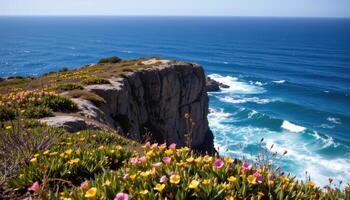 a dramatic cliff over the ocean where wind bent shrubs are dotted with tiny pink and yellow blooms clinging to the rock. photo