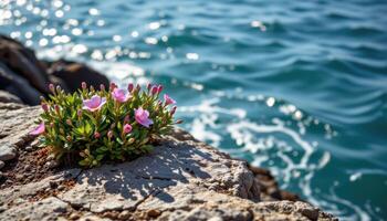 a rocky ledge above the sea, where a single flowering bush blooms in defiant beauty. photo