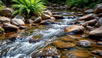 crystal clear water flows over smooth stones in a secluded woodland stream surrounded by ferns. photo