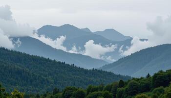 mist clings to the tops of mountains as light rain begins to fall on a dense forest below. photo