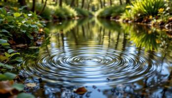 gentle ripples disturb the surface of a forest pond surrounded by lush undergrowth. photo