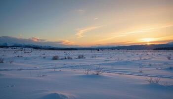 a snowfield glows faintly under a sky filled with pale northern light. photo