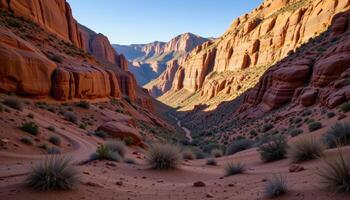 a dry canyon echoes with the whisper of wind brushing against sandstone walls. photo
