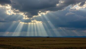sunbeams break through heavy cloud cover, lighting sections of a windswept prairie. photo