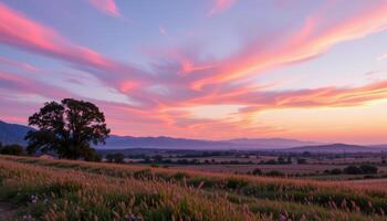 the first light of dawn paints the landscape in soft pink and lavender tones. photo