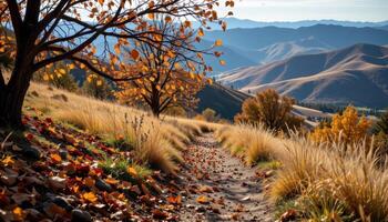 a sharp wind carries dry leaves across a narrow path through rolling hills. photo