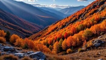 a narrow valley glows with the amber hues of late autumn. photo