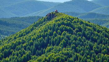 a sharp ridge rises abruptly from a dense green forest below. photo