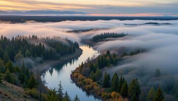 a fog drenched river winding through a vast pine forest at dawn. photo