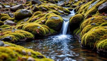 a mossy mountainside spring flowing gently into a clear rock pool. photo